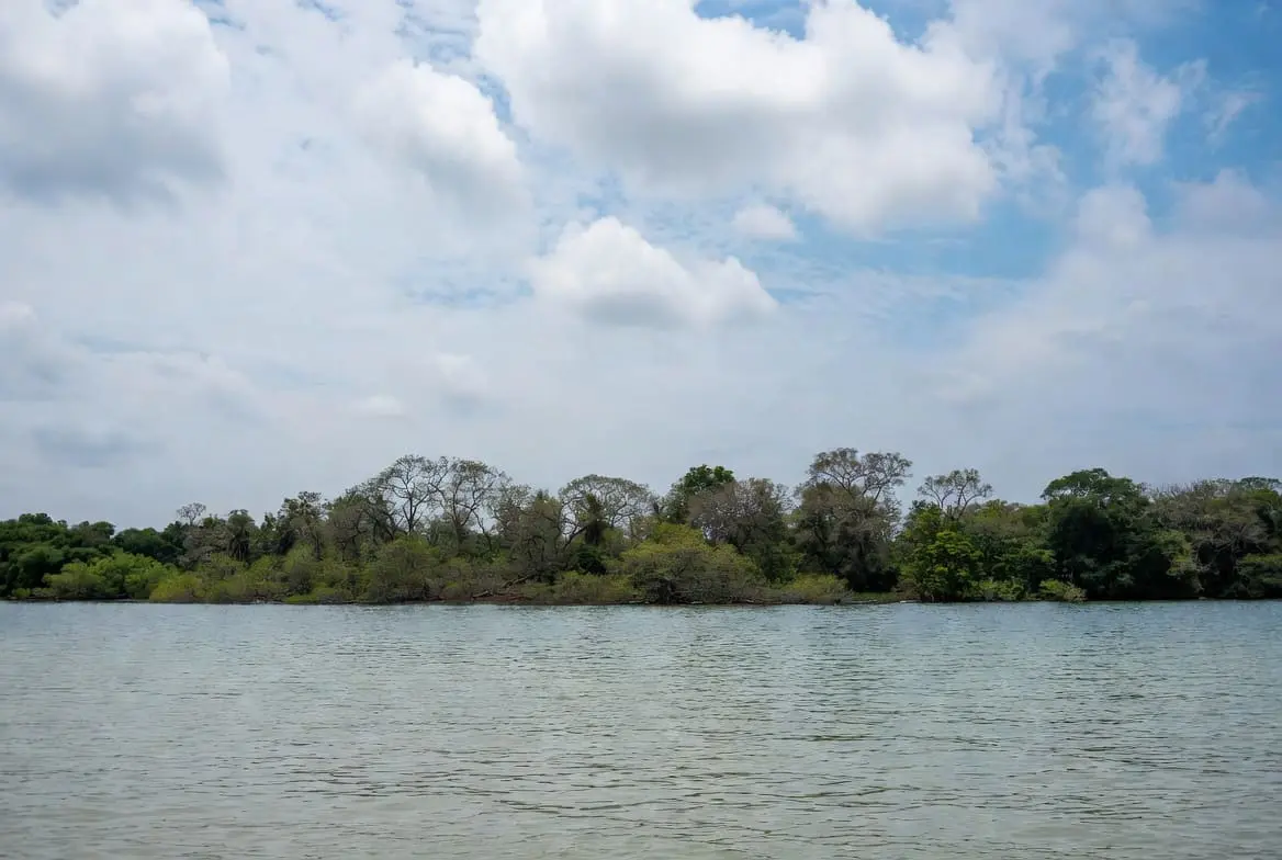 Chennai singles meeting for casual hookups